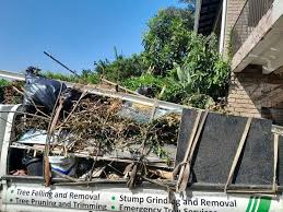 Best Shed Removal  in Lake Odessa, MI