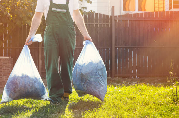 Best Same-Day Junk Removal Services  in Lake Odessa, MI