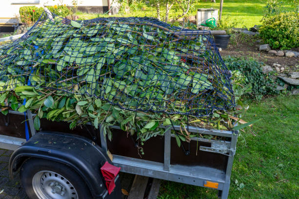 Best Construction Debris Removal  in Lake Odessa, MI